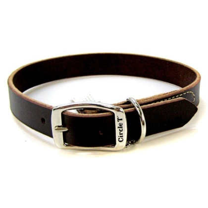 Circle T Latigo Leather Town Collar - 22\