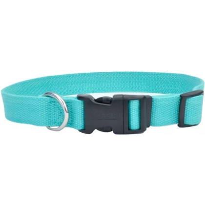 Coastal Pet New Earth Soy Adjustable Dog Collar Mint - 12-18\