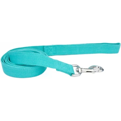 Coastal Pet New Earth Soy Dog Lead Mint Green - 6 feet x 1\