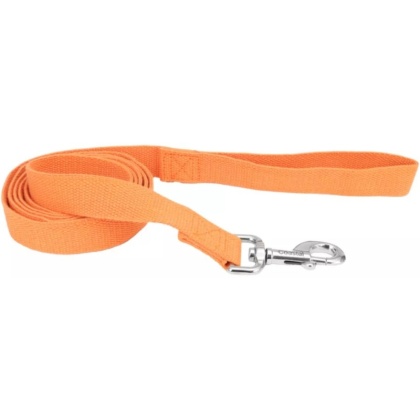 Coastal Pet New Earth Soy Dog Lead Pumpkin Orange - 6 feet x 1\