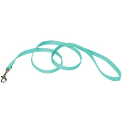 Coastal Pet Single-ply Teal Nylon Dog Lead - 4\'L x 5/8\