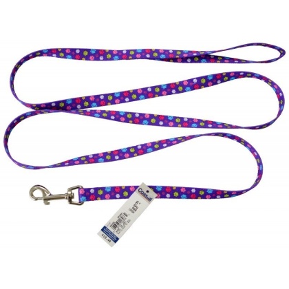 Pet Attire Styles Nylon Dog Leash - Special Paw - 6\' Long x 5/8\