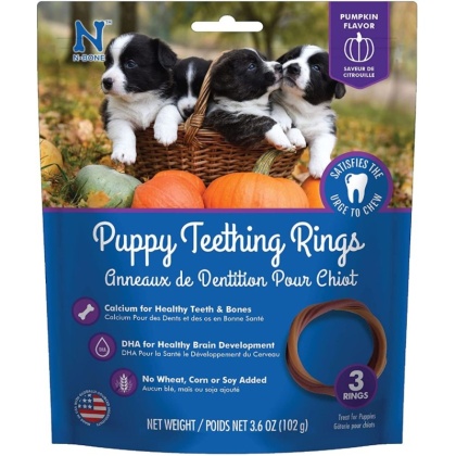 N-Bone Puppy Teething Ring - Pumpkin Flavor - Puppy Teething Ring - 3.5\