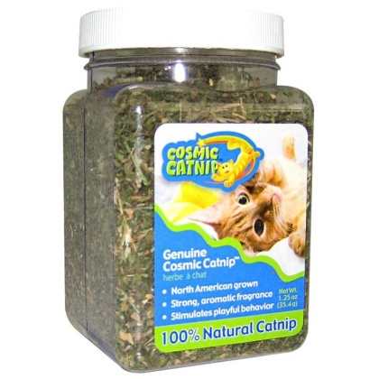 OurPets Cosmic Catnip Cosmic Catnip - 1 oz Cup